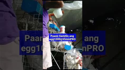 Para sa mas magandang egg production .